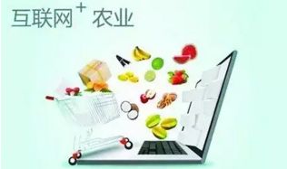 農(nóng)村電商十大發(fā)展趨勢(shì) 擁抱變革，賦能鄉(xiāng)村經(jīng)濟(jì)